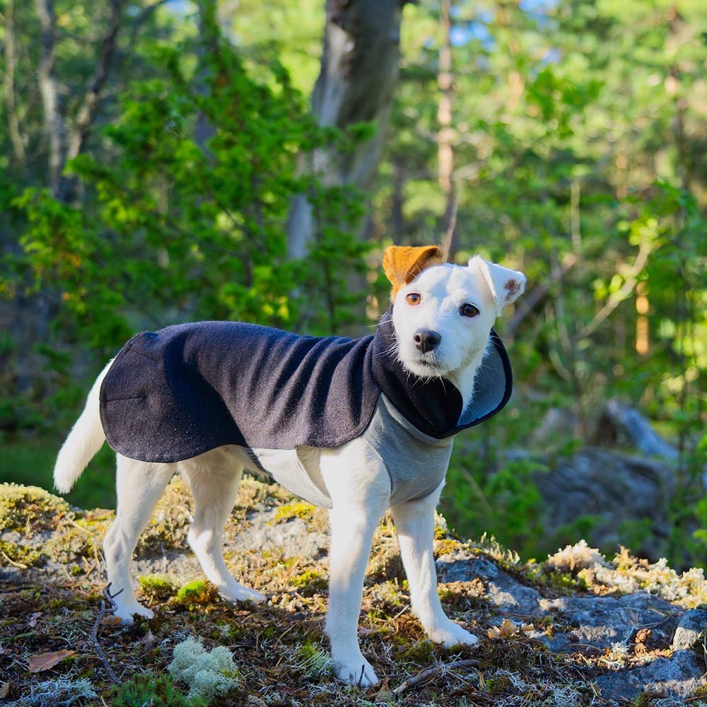 Paikka Recovery Winter Dog Shirt
