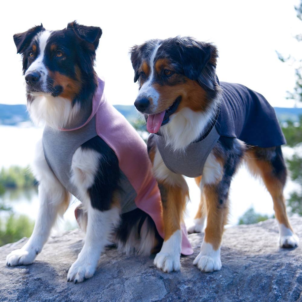 Paikka Recovery Winter Dog Shirt