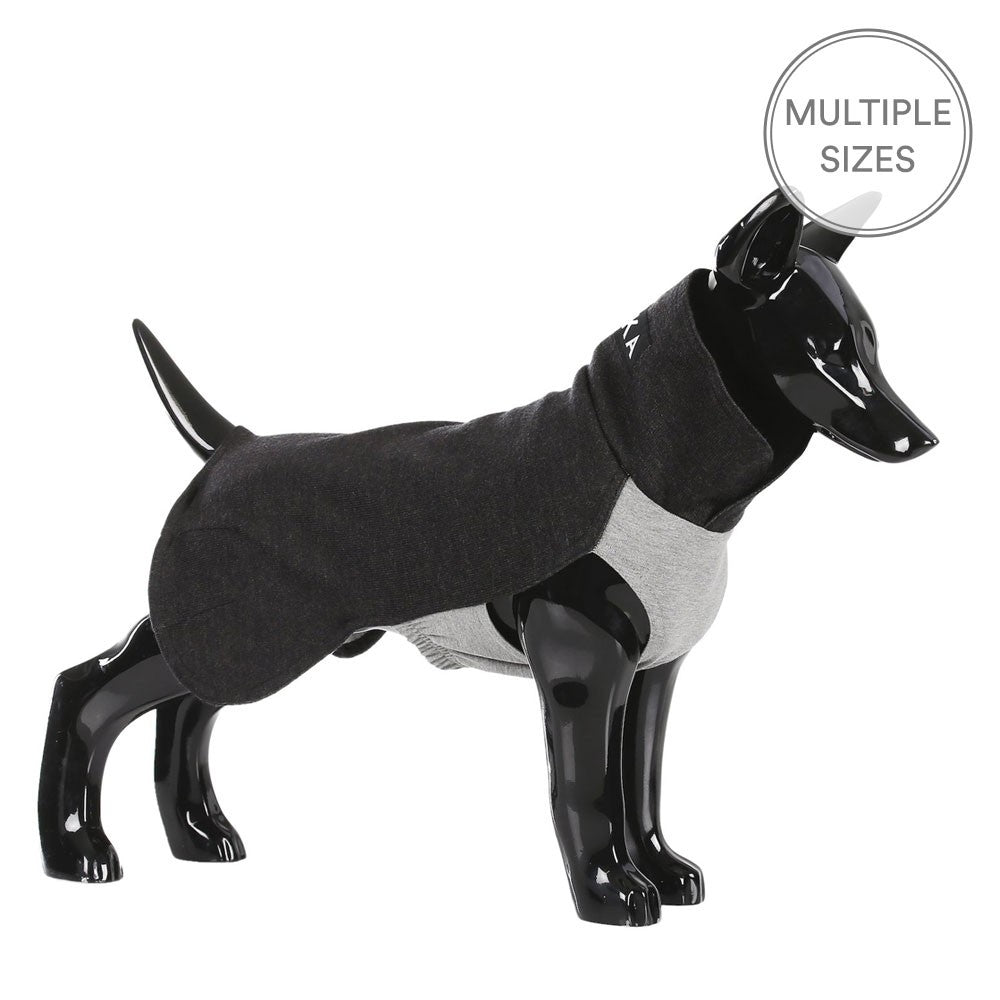 Paikka Recovery Winter Dog Shirt