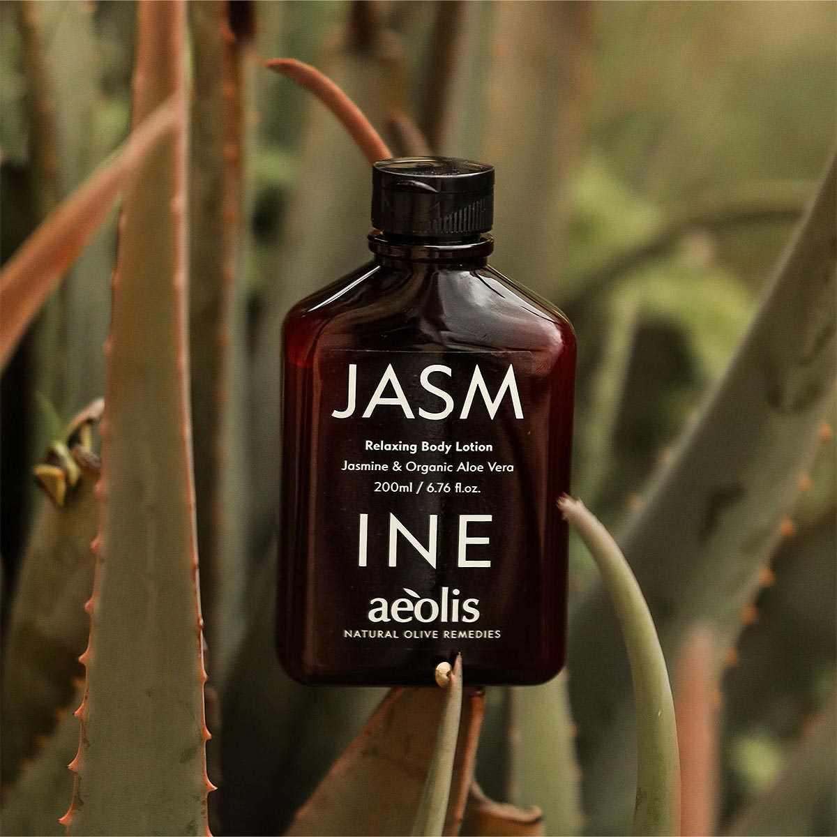 Bottle of Jasmine aeolis body lotion with aloe vera leaves in the background