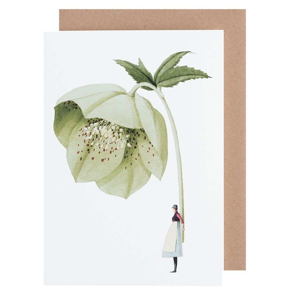 Laura Stoddart Greeting Card - Green Hellebore