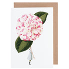 Laura Stoddart Camelia Greeting Card 