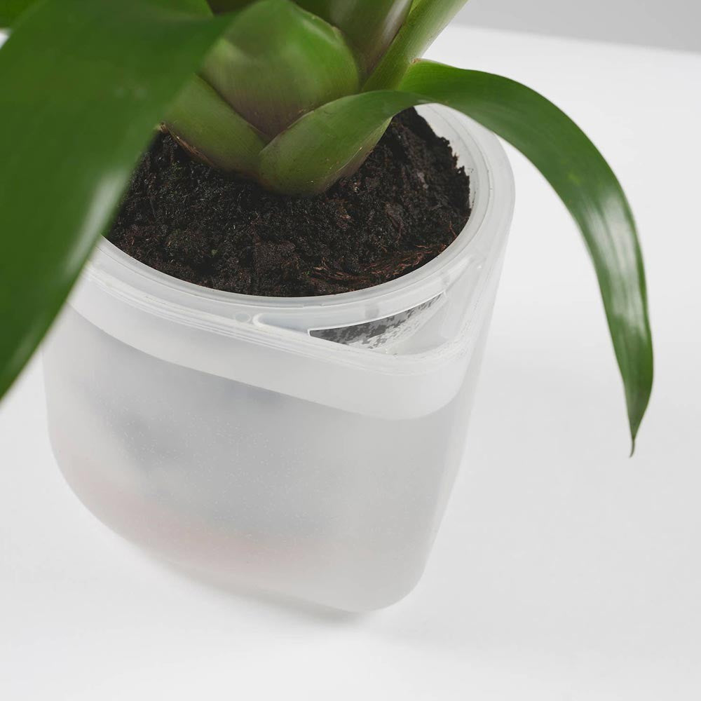 Boskke Till Planter - Large Self-Watering Plant Pot