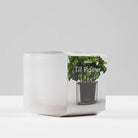 Boskke Till Planter - Small Self-Watering Plant Pot