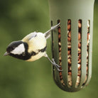 Singing Friend Max Wild Green Bird Feeder