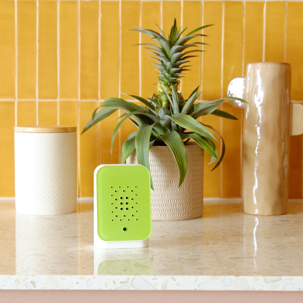 Relaxound Junglebox Motion Sensor - Lush