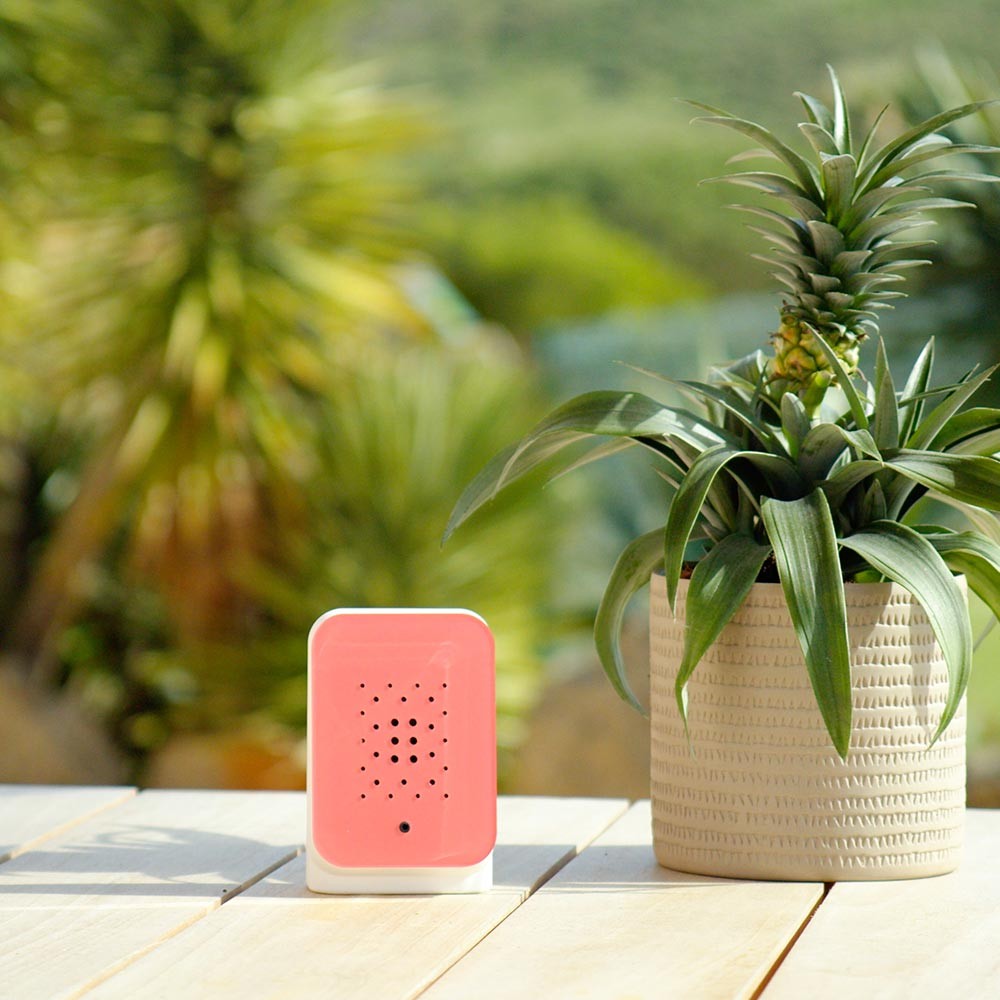 Relaxound Junglebox Motion Sensor - Rosy