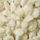 Close up view of mastic plant resin used in 'Aolis' hand cream